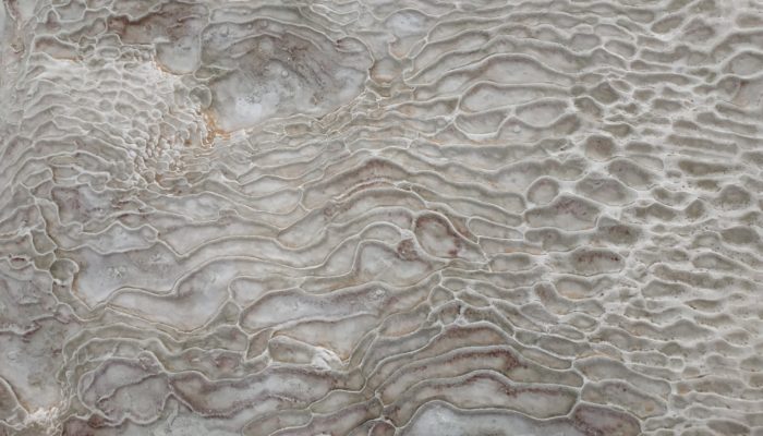 Imaggeo On Monday: Fingerprint in the cotton