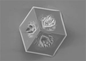 Imaggeo On Monday: Wannabe cubic calcite