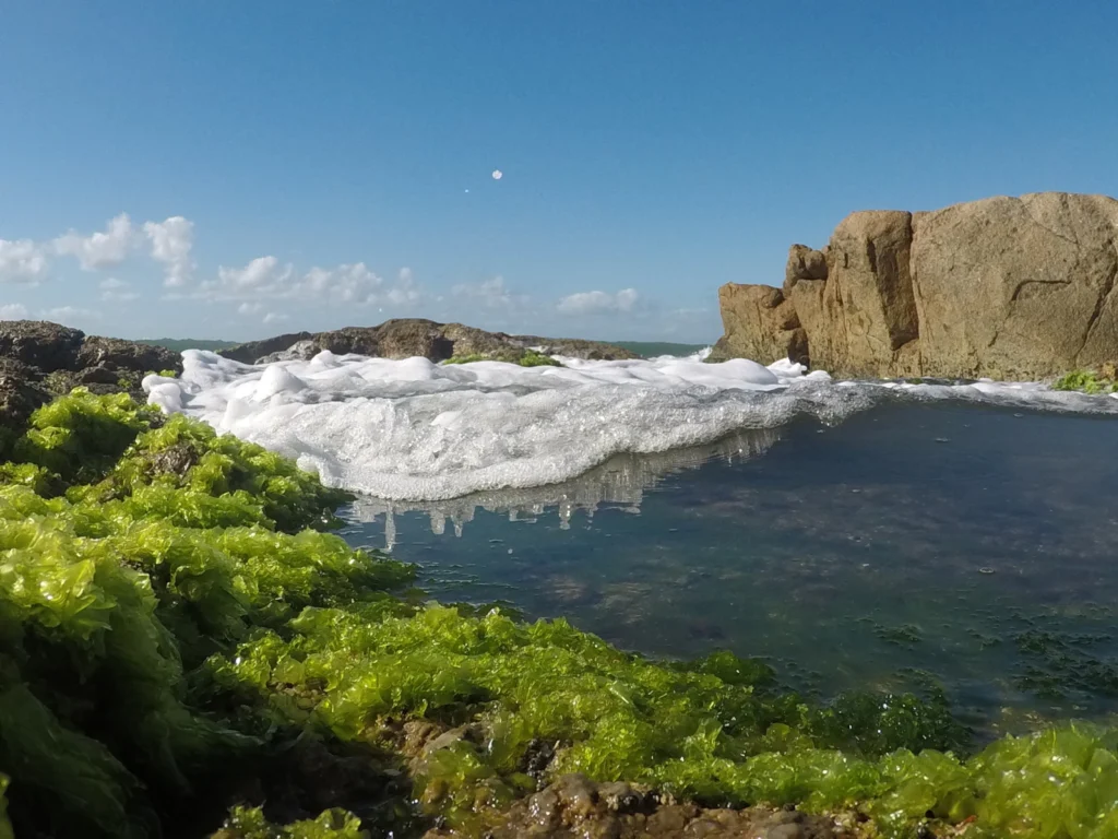 Imaggeo On Monday: The movement of the tides