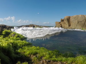 Imaggeo On Monday: The movement of the tides