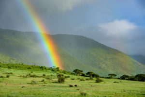 Imaggeo On Monday: Pot of Gold: Ngorongoro Crater