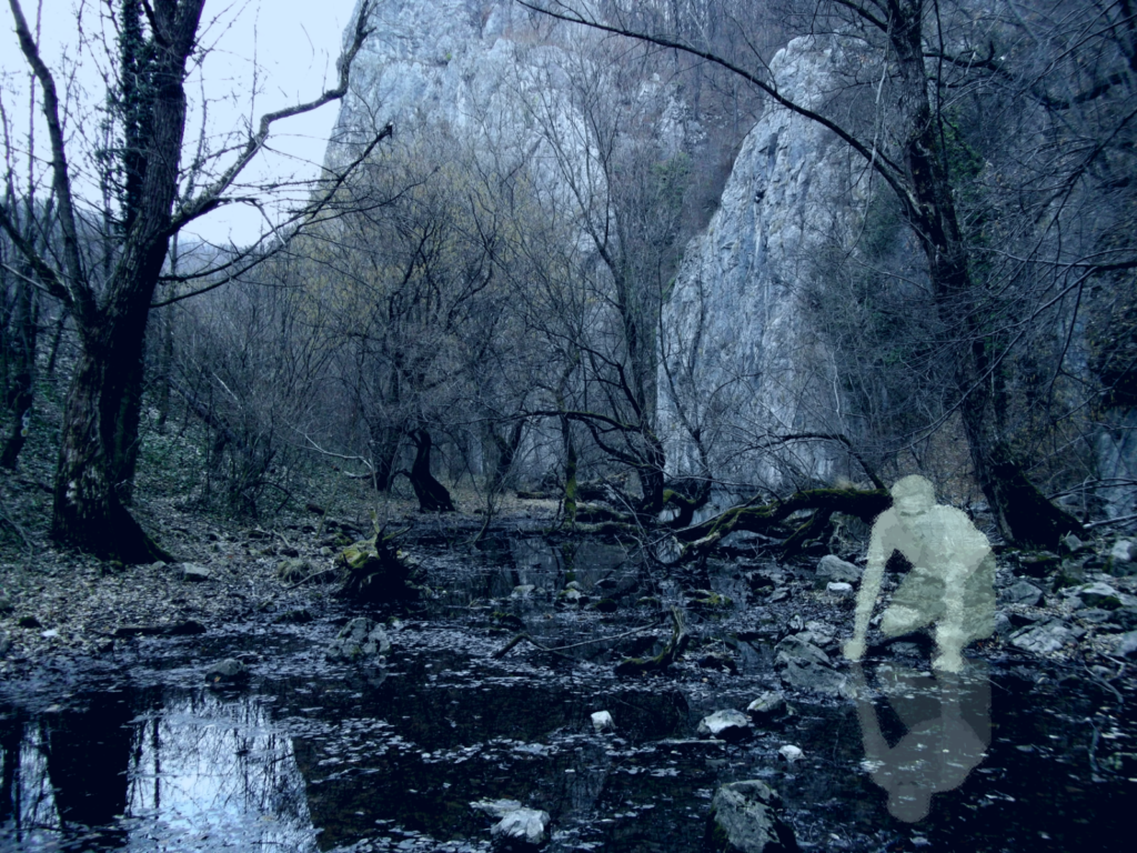 Swamps may be considered spooky, but is there more than meets the eye?