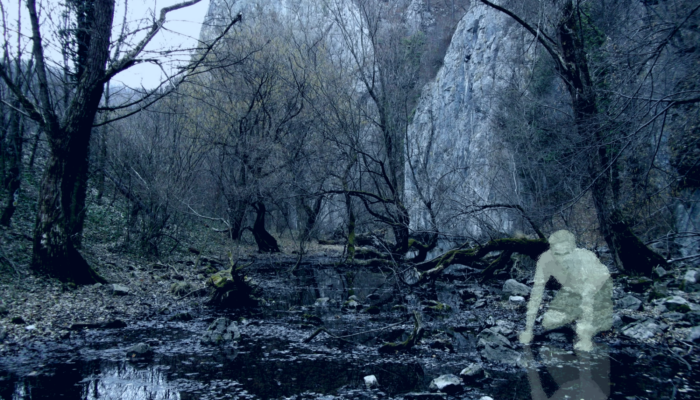 Swamps may be considered spooky, but is there more than meets the eye?