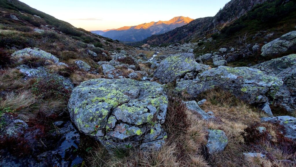 Biosphere Reserves: What are they and why must we care for them?