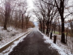 Mind Your Head: How to have a mindful December and holiday season