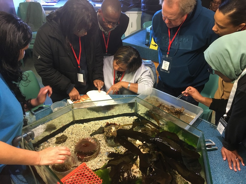 Bringing scientists and teachers together for the Cape Town GIFT workshop