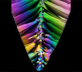 Imaggeo On Monday: the EGU Photo Competition – not just landscapes!