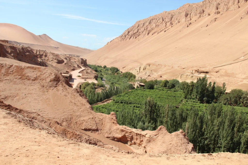 Can our oases outlast the dry spell of desertification?
