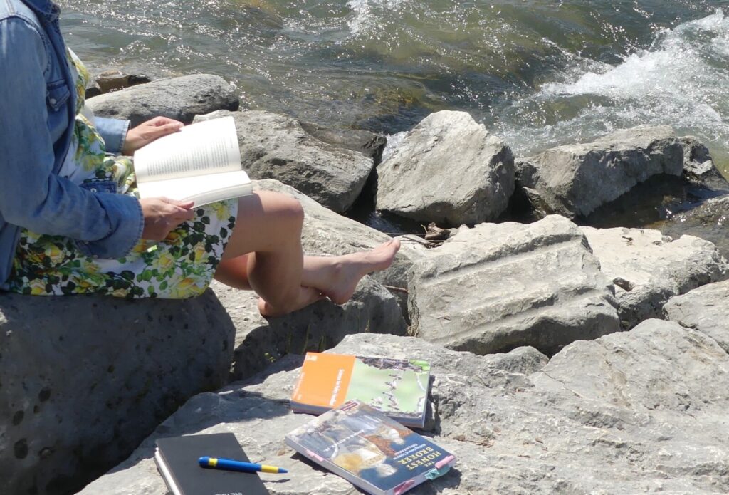 GeoPolicy: Your 2024 Science for Policy Summer Reading list