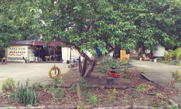 Indigenous resilience through the waters: The story of the Aldeia Maraka’nà