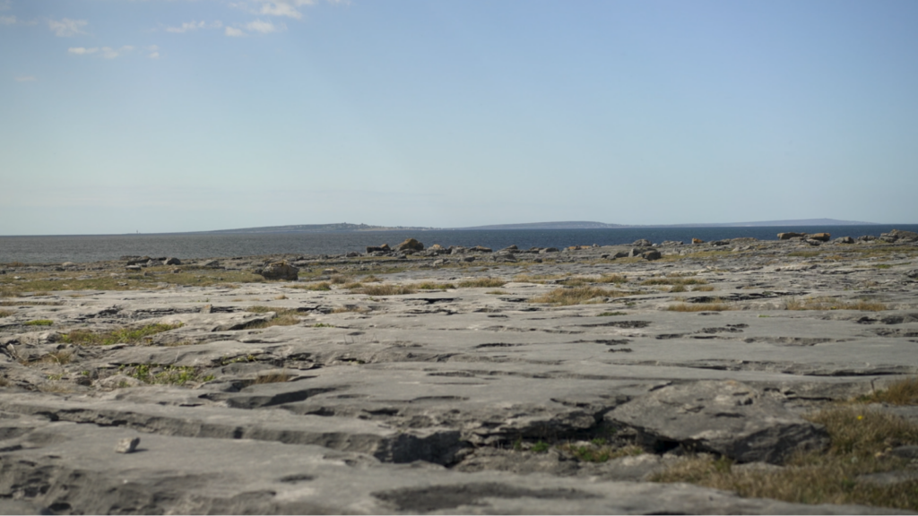 Marine Geoscience through art and storytelling: An interview with Fergus McAuliffe, winner of the EGU Geoscience Day Award