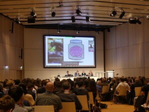 How to make your EGU25 presentation accessible!