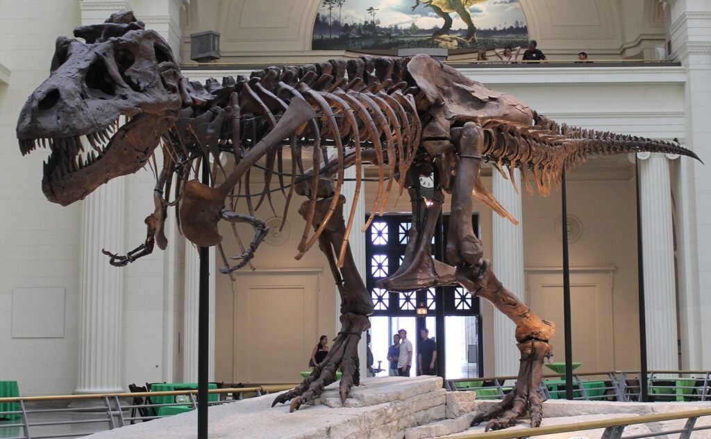 Sue the unconventional tyrant: 35 years of discovery, science, and icon status