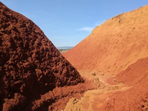 Why we need to put plants back in the soil carbon picture
