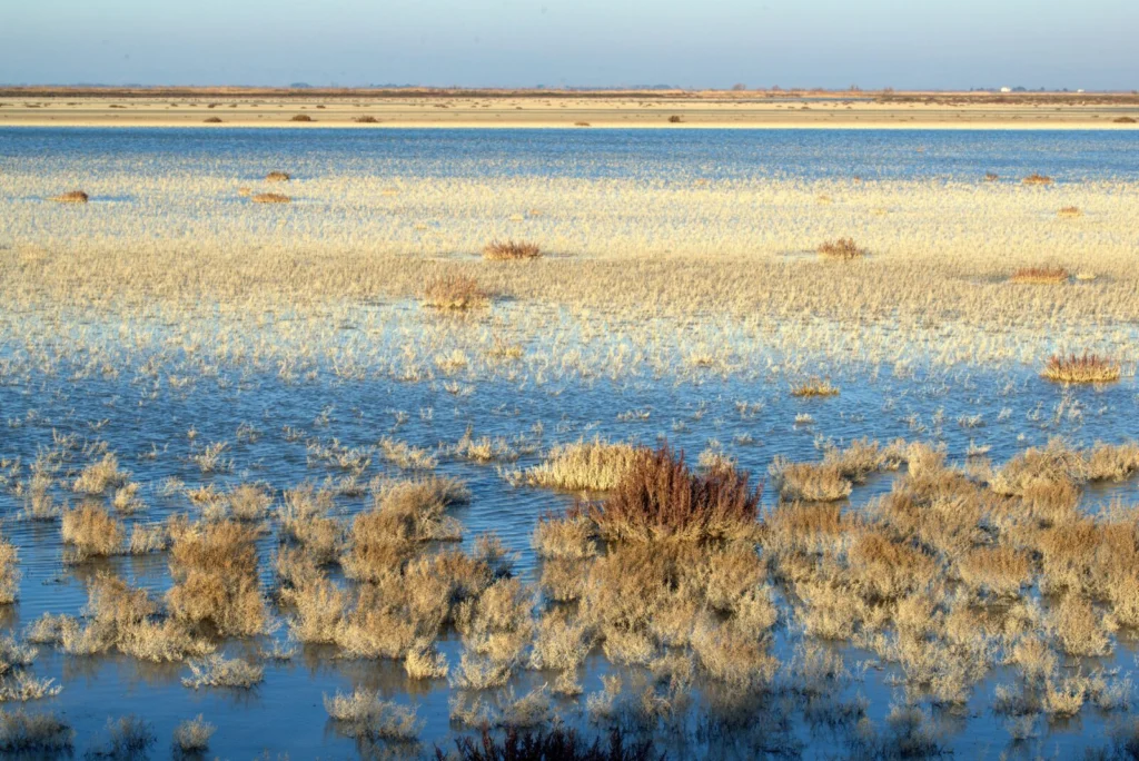 Geoscientific perspectives on global wetland systems: Between traditional knowledge and cultural heritage