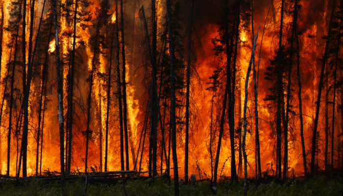 A trial by fire: Can we learn how to read a burning planet?