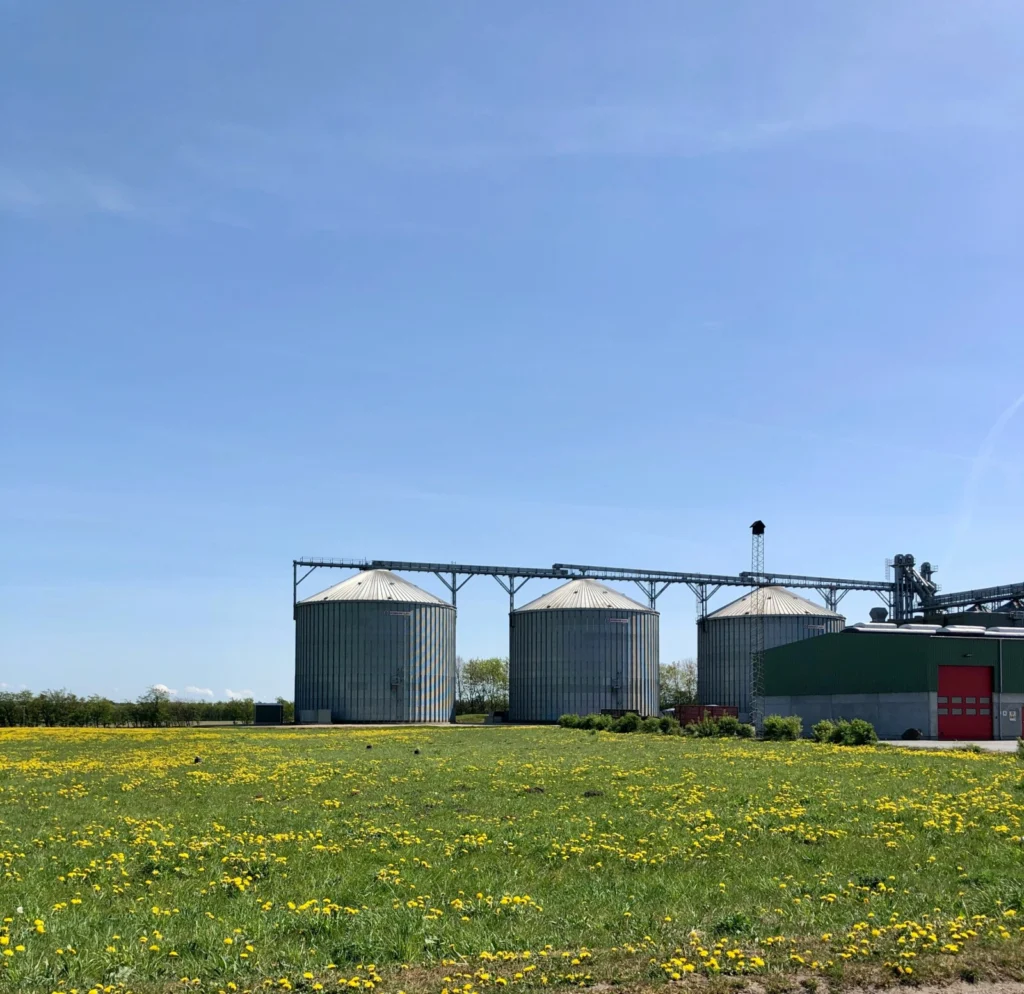 A geoscience reality check on World Biofuels Day