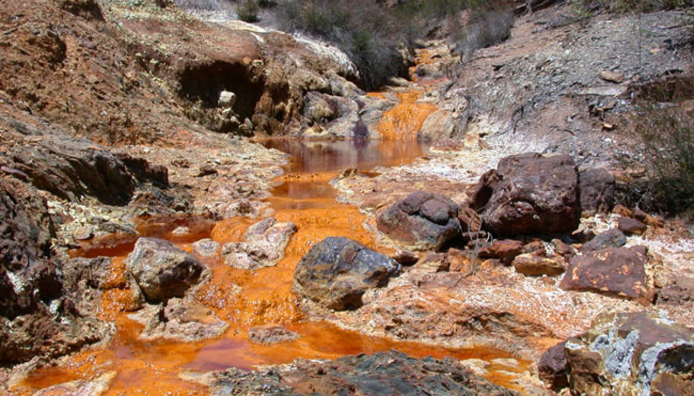 Four Degrees Murky waters what counts as good water quality?