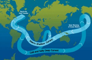 The global circulation of the oceans, known as the 'conveyor belt' - Source: Thomas Splettstoesser, Wikimedia Commons.