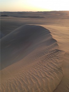 Sand dunes in the Great Sand Sea. Image Author's Own.