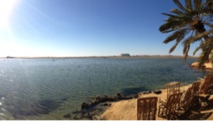 The wet with the dry: The geology of Siwa Oasis