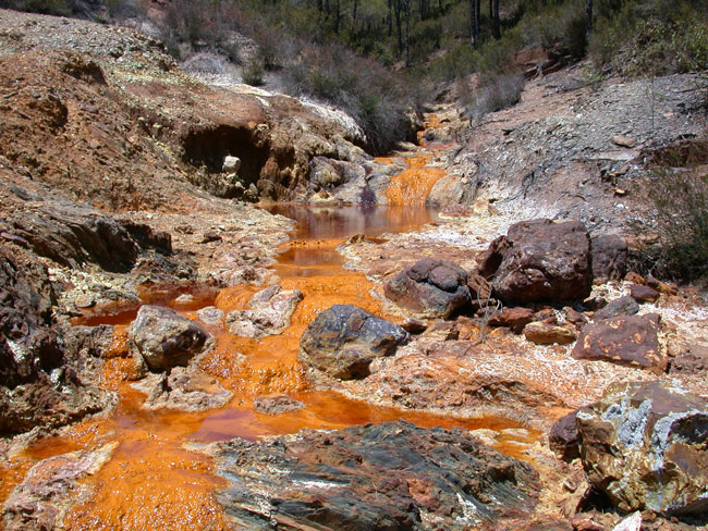 Murky waters – what counts as good water quality?