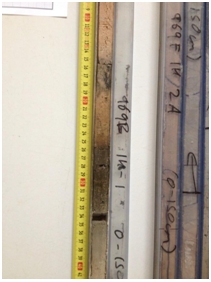 The darker sapropelic layer is clearly visible in this photographic core log. Photograph used with the kind permission of Dr Mike Rogerson, University of Hull. 