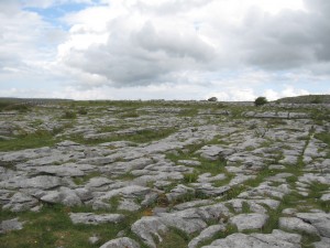 Limestone pavements typical of The Burren. Photo: Uploaded to WikiCommons by HEireann. 