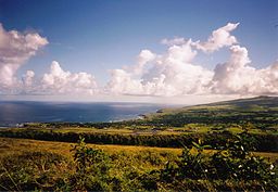 Panoramic view across Hanga Roa, Easter Island. The modern-day 'natural' landscape dominated by open grassland and largely devoid of palm trees is clear to see. Photo from WikiCommons courtesy of Makemake. 