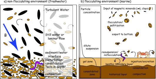 How a DRM is acquired in sediments.  Source: http://magician.ucsd.edu/essentials/WebBookse40.html