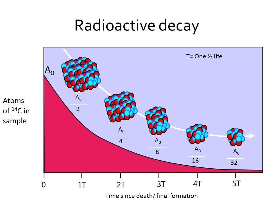 facts about radiocarbon dating