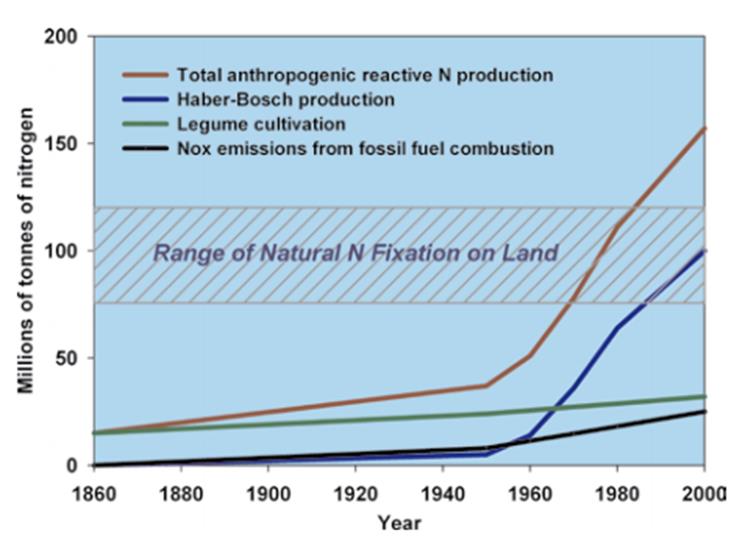 Comparison of natural N fixation to anthropogenic inputs through the 20th Century. Source: UNEP (2007) Reactive Nitrogen in the Environment. 