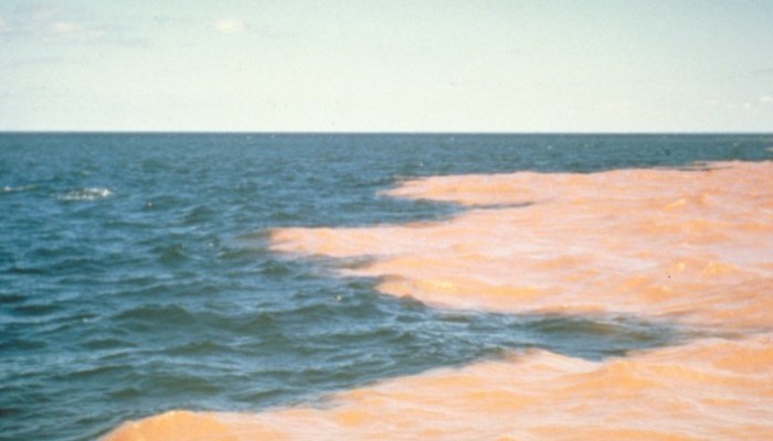A much shorter review of flood stratigraphies in lake sediments
