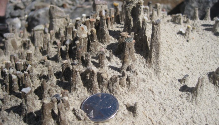 Blast from the Past: It’s all about scales