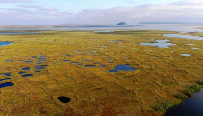 Geology Photo of the Week #45