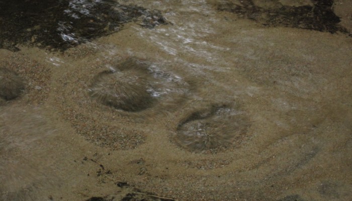 Bubbling Merrily: Artesian Springs