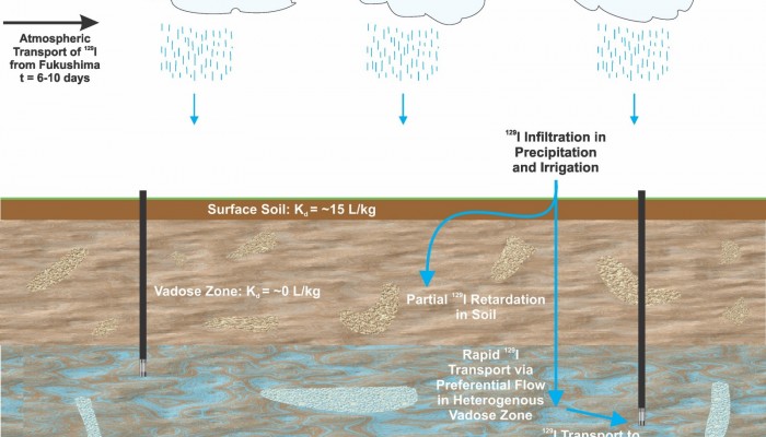 Tracking the Fallout and Fate of Fukushima Iodine-129 in Rain and Groundwater