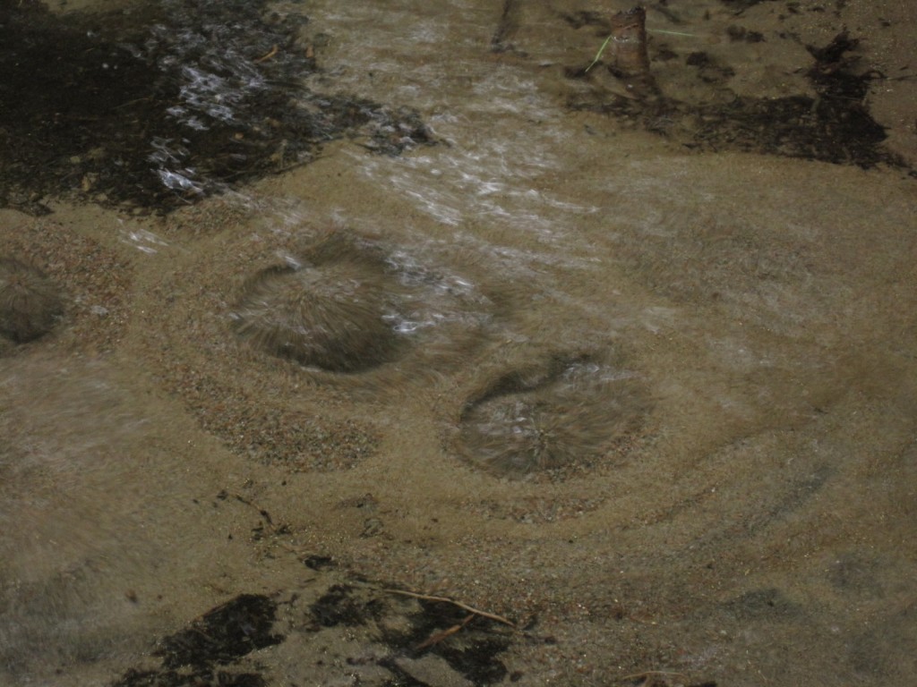 Welcome to Water Underground