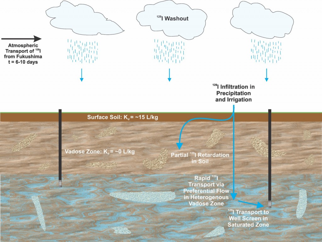 Tracking the Fallout and Fate of Fukushima Iodine-129 in Rain and Groundwater