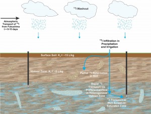 Tracking the Fallout and Fate of Fukushima Iodine-129 in Rain and Groundwater