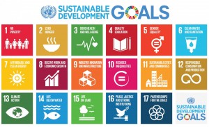 SDGs