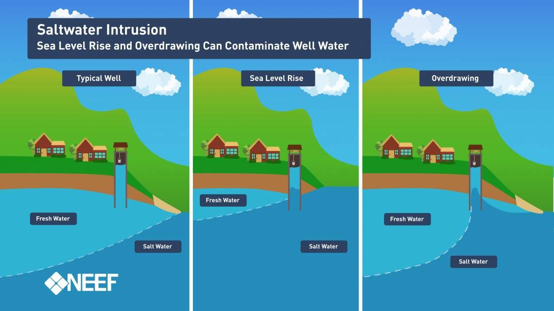 Geology for Global Development Saltwater intrusion: causes impacts