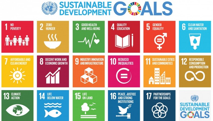 Geology and the Sustainable Development Goals