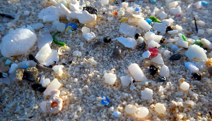 Robert Emberson: Microplastic – Too Important to Ignore