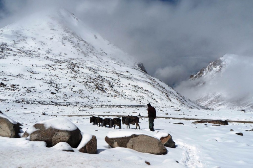 EGU15 – Natural Hazards Education and Communications
