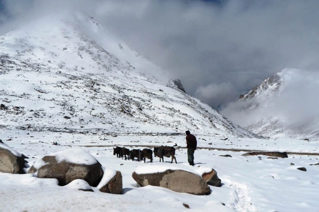 EGU15 – Natural Hazards Education and Communications