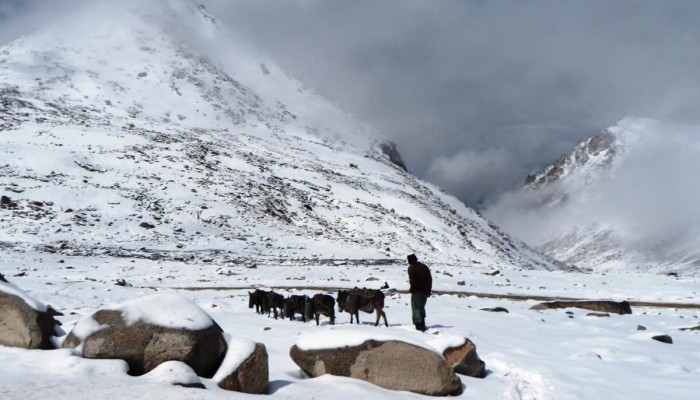 EGU15 – Natural Hazards Education and Communications