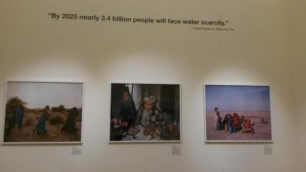 Guest Blog: Scarcity-Waste – The Syngenta Photography Award 2015