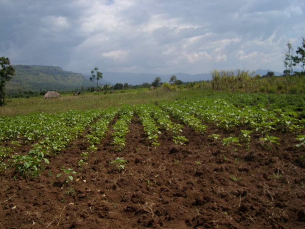 Robert Emberson: Soil Erosion and Sustainable Development