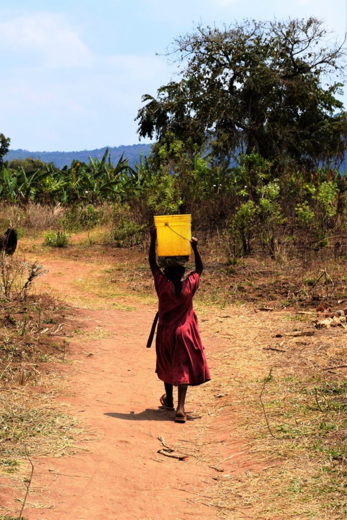 Bárbara Zambelli Azevedo: Access​ ​to​ ​clean​ ​water,​ ​gender​ ​equality​ ​and​ ​geosciences